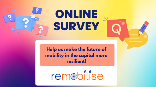 Survey Remobilise project